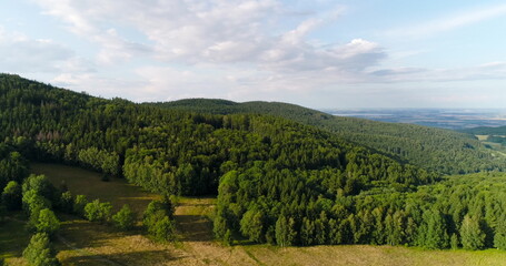 Fototapeta na wymiar Aerialof beautiful green forest in a rural landscape