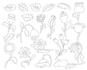 A set of linear floral botanical abstract flowers and branches. Black outline highlighted on a white background, vector illustration, summer and spring wildflowers, garden flowers