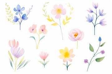 A collection of hand-drawn, floral designs with a focus on blossoms , cartoon drawing, water color style