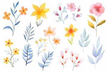 Fototapeta na wymiar A collection of hand-drawn, floral designs with a focus on blossoms , cartoon drawing, water color style