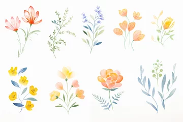 Foto op Plexiglas A collection of ornamental, floral prints with a spring theme , cartoon drawing, water color style © Watercolorbackground