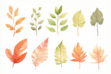 A collection of various leaves showing realistic textures and colors , cartoon drawing, water color...