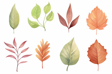 A collection of various leaves showing realistic textures and colors , cartoon drawing, water color style