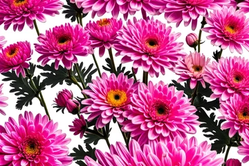 Foto op Canvas pink chrysanthemum flowers © muzamli art
