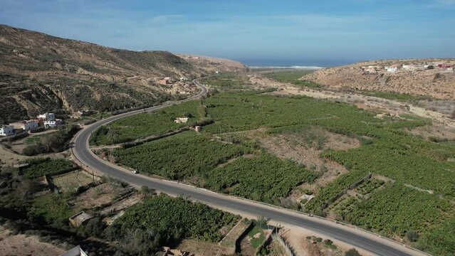 Drone Footage Of banana Farm field , Tamri Morocco