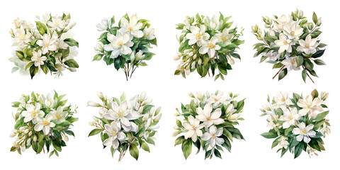 White jasmine flowers painted with watercolors - obrazy, fototapety, plakaty