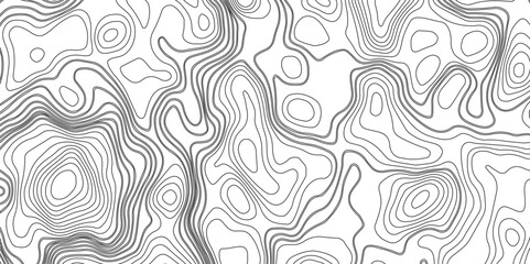 Topographic map. Grid, texture, relief contour. Land territory topography vector graphic background. Contour vector abstract vector illustration. Geographic world topography.