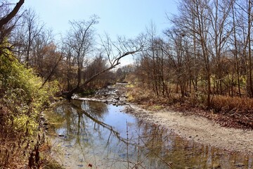 Obraz premium The flowing quiet brook in the forest on a sunny fall day.