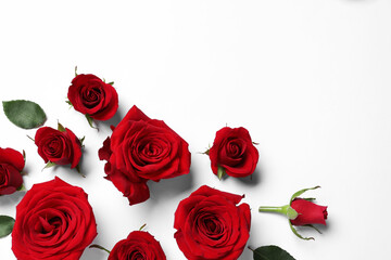 Beautiful red roses on white background, flat lay. Space for text