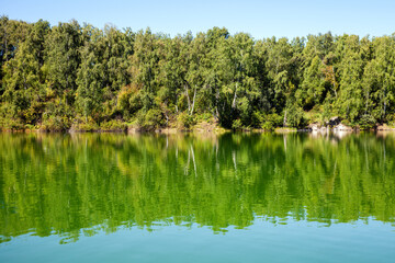 Landscape photo with forest on the coast ot Katun river