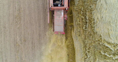 Harvesting. Combine Harvester harvesting wheat