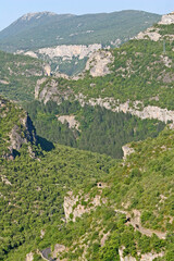  Causse du Larzac, falaises et végétation de résineux, pins, roche calcaire , falaises...