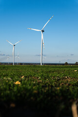 wind turbine on a green field © Force