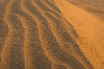 Close up orange sand texture of sand dunes in Great Thar Desert in in Jaisalmer, Rajasthan, India.