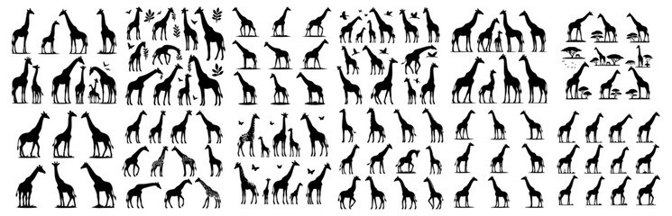Vector set of giraffes in silhouette style