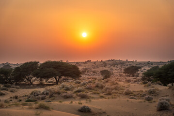 Fototapeta na wymiar View during sunrise at great thar desert in Jaisalmer, Rajasthan, India.