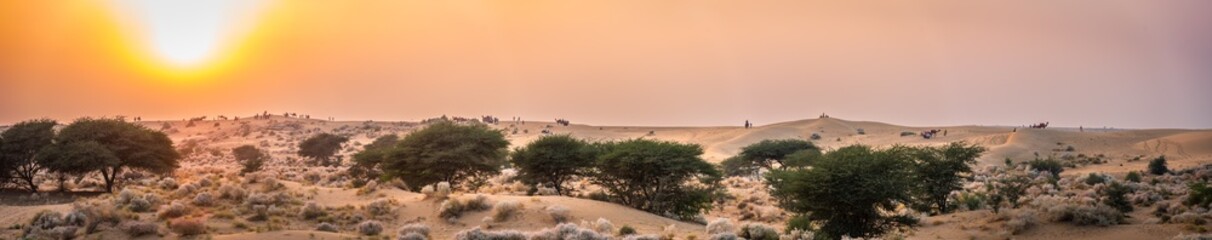 View during sunrise at great thar desert in Jaisalmer, Rajasthan, India. © anjali04