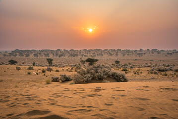 View during sunrise at great thar desert in Jaisalmer, Rajasthan, India.