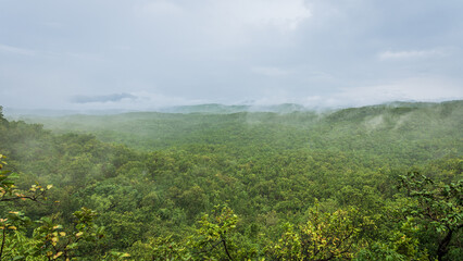 Fototapeta na wymiar Panoramic view of Pachmarhi valley having clouds and mist shrouded hills rolling on each other from vantage point Green Valley view point in Pachmarchi, Madhya Pradesh, India.