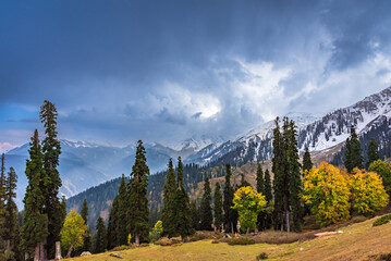 Serene Landscape of majestic Pir Panjal mountain range of Himalayas in kashmir valley from Koongdoori view point in Gulmarg hill station, Baramula, India. - obrazy, fototapety, plakaty