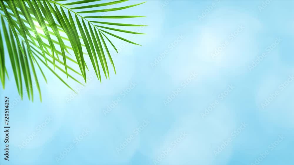 Wall mural border of isolated palm leaf with sunbeam on abstract blue bokeh light animation, empty background w