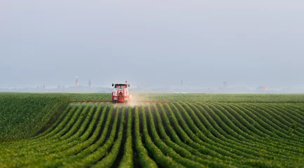Fotobehang Tractor spraying soybean crops field © Dusan Kostic