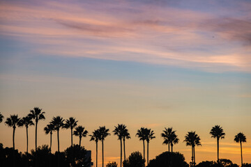 Silhouette of lighthouse and palm trees against beautiful sunset sunrise dusk dawn fire sky in Long Beach, California for romantic times - obrazy, fototapety, plakaty