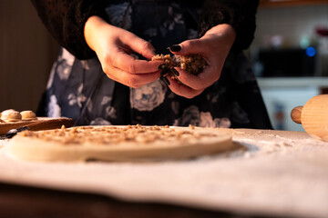 view of homemade freshly prepared dumplings at home