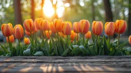 Fototapeten A vibrant cluster of orange tulips standing tall in a field, surrounded by green foliage. © nnattalli
