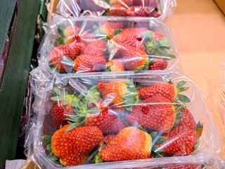 Strawberries in a plastic package lie on a shelf in the fruit and vegetable department in a...