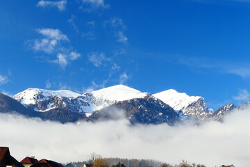 Reiting im Nebel