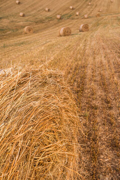 Scenic view of hay bales on harvested wheat field in Provence south of France 