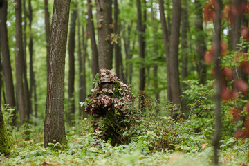 A highly skilled elite sniper, camouflaged in the dense forest, stealthily maneuvers through...