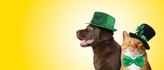 St. Patrick's day celebration. Cute dog and cat in leprechaun hats on yellow background. Banner...