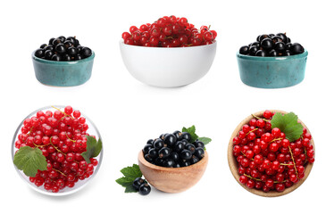 Fresh red and black currants in bowls on white background, collection