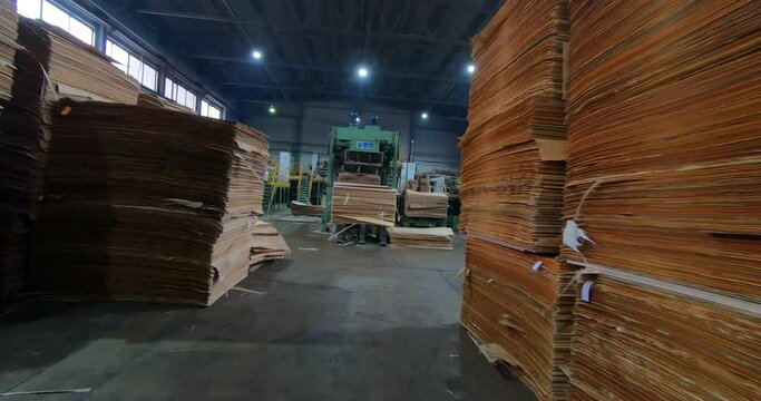 Automated production of plywood sheets at the factory. Finished veneer sheets. Plywood production