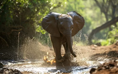 Foto op Aluminium elephant calf playfully spraying water in a refreshing mud puddle © sitifatimah