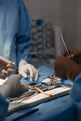 surgeons work on the cut part of the knee joint (muscular ligament) before implanting it back into...