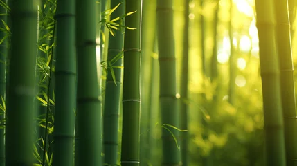 Foto op Canvas A bamboo forest with tall swaying stalks and dappled sunlight. © Carlos
