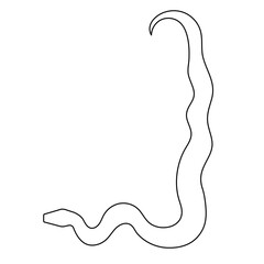 Obraz premium Snake one line art,hand drawn continuous drawing contour,symbol of new year 2025.Poisonous reptile serpent outline,wildlife nature concept.Editable stroke.Isolated.Vector illustration