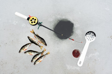 Winter fishing concept with fishing rod, bloodworm bait and perch fish catch near ice hole