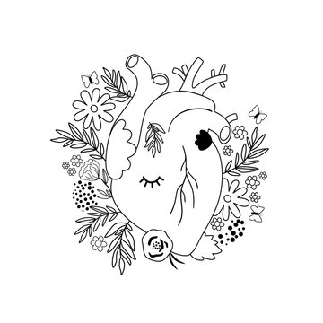 Floral anatomical heart for Valentines day black and white isolated element. Vector coloring page human heart