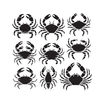 Serene Shorelines: Crab Silhouette Set Depicting the Tranquil Beauty of Crustaceans Along the Coast - Crab Illustration - Crab Vector
