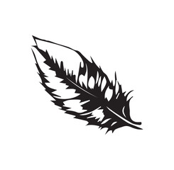 Feather vector icon isolated on white background
