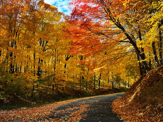 Fall