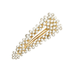 Watercolor hair clip illustration