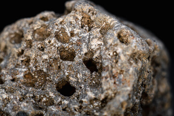 Close up of Basalt stone from Mount pico