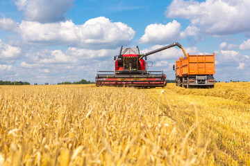 Combine harvester load wheat in the truck at the time of harvest in a sunny summer day.