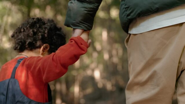 Back view of a young boy holding his father's hand while walking away on a path in the forest, depicting family bond and adventure.