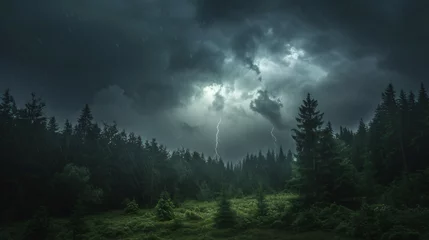 Fotobehang A forest during a thunderstorm with dark clouds heavy rain and occasional flashes of lightning. © Lucas
